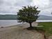 Click to go to Coniston page